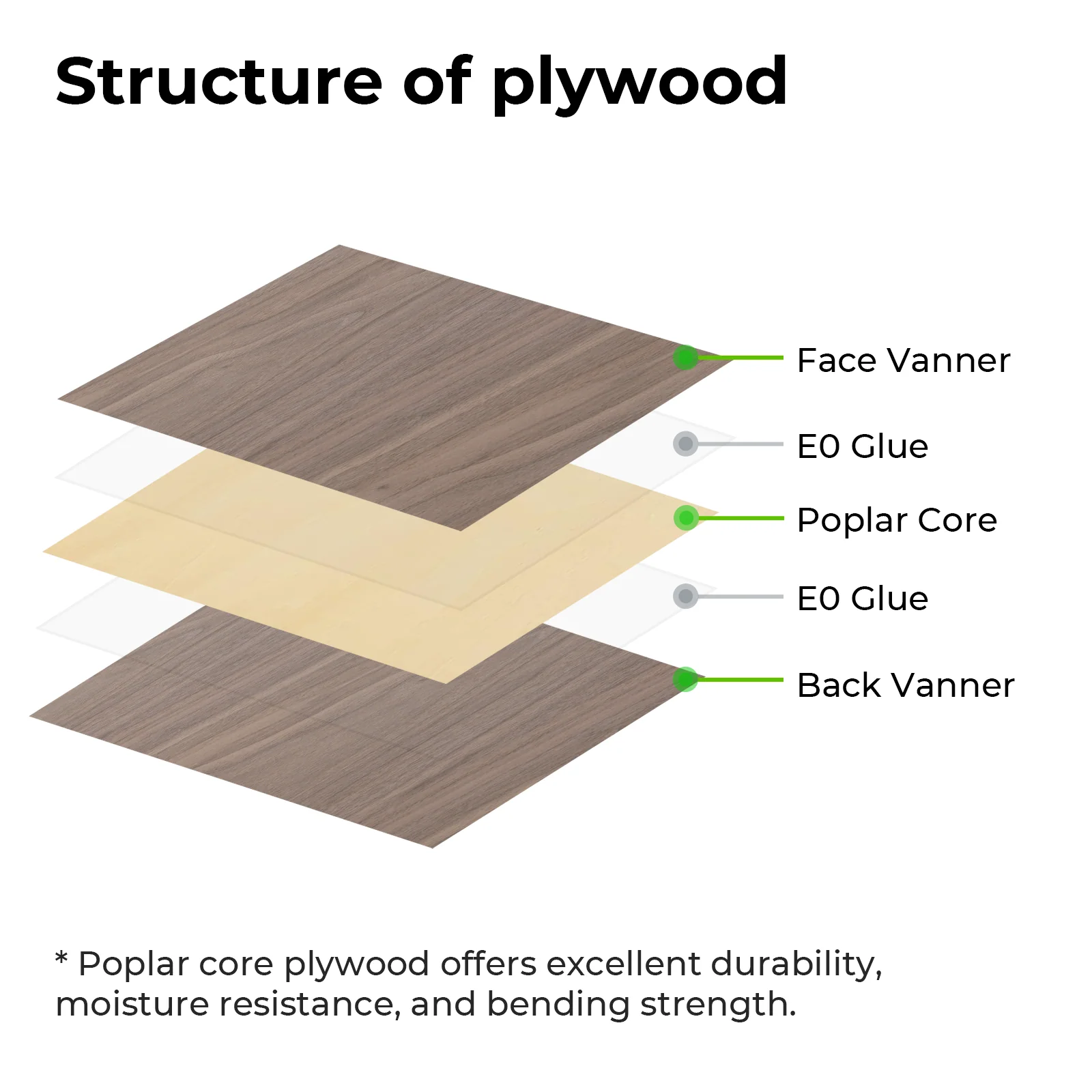 Basswood Plywood Sheets - Image 5