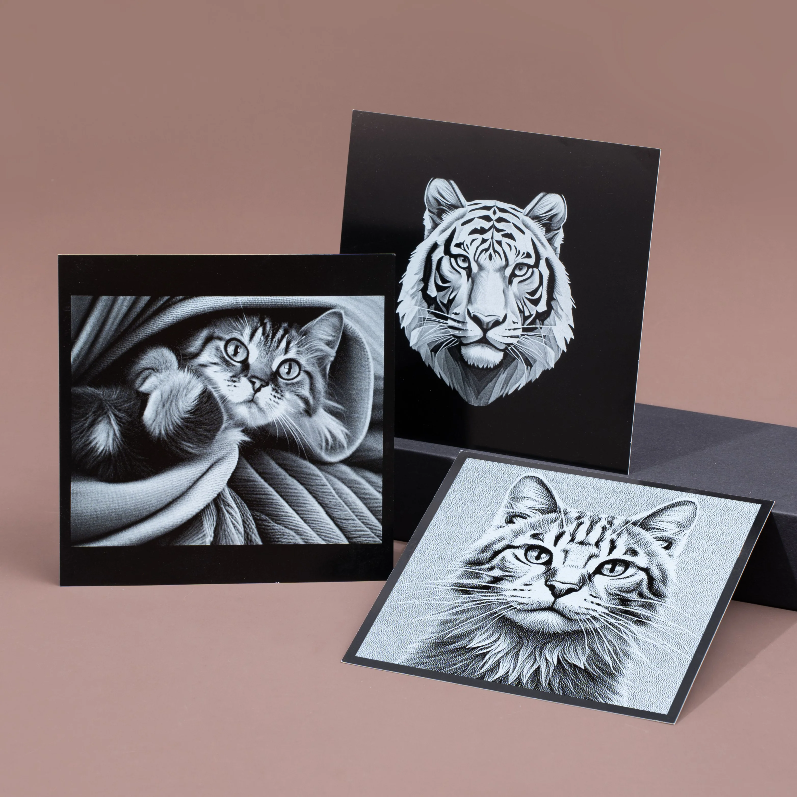 Laser Engraving Photo Paper - Image 8