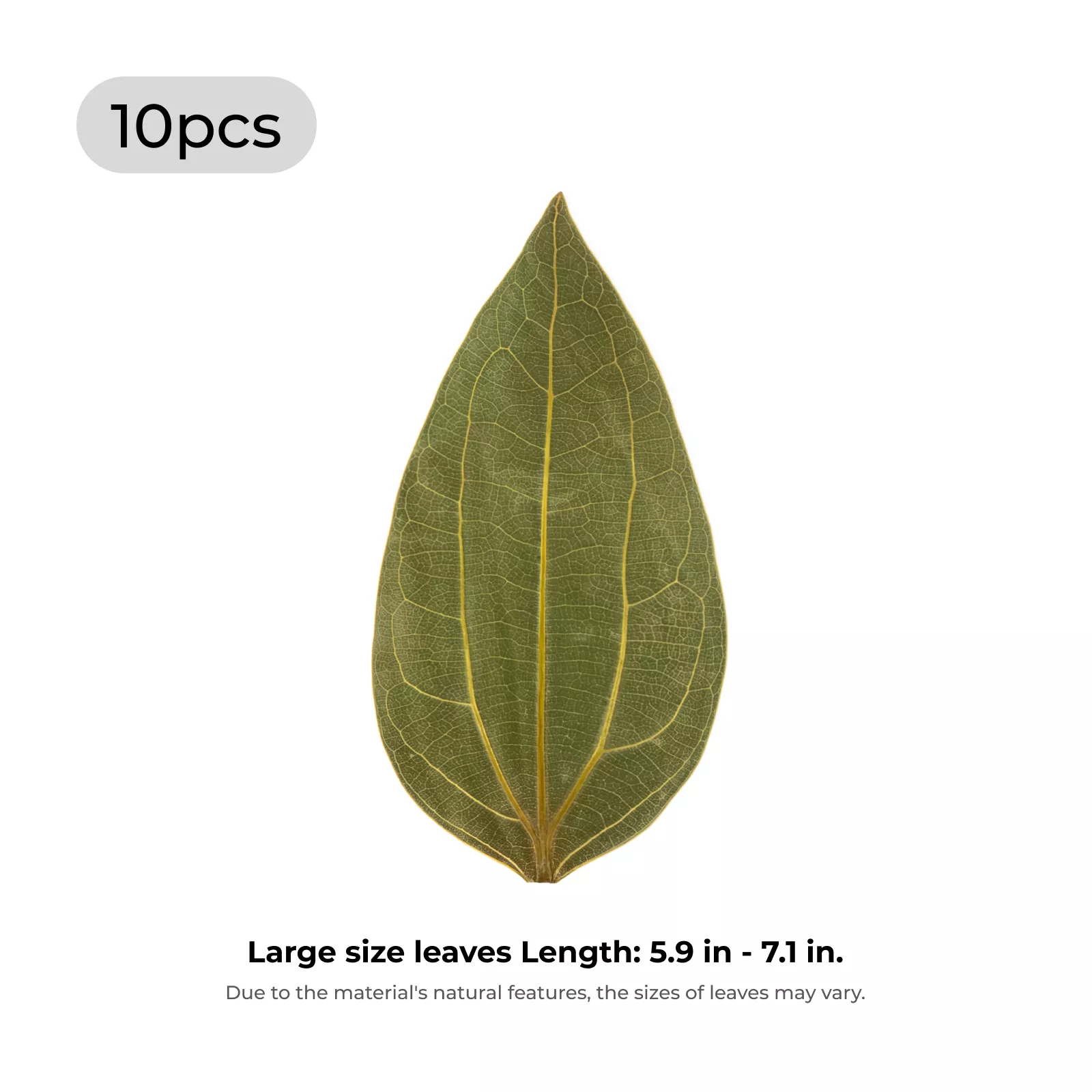 Leaf Engraving Kit (12pcs) - Image 4